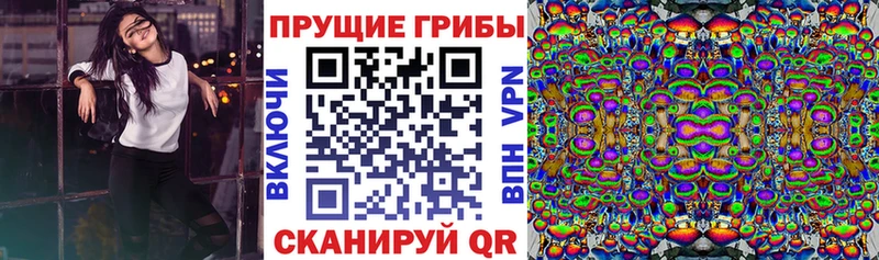 Купить  Новохопёрск  Галлюциногенные грибы ЛСД 